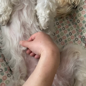 8/16 ピアノグラニテNo.3 放送とその他諸々の画像