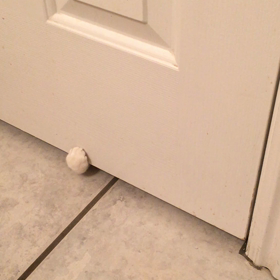 ねこあるあるの画像