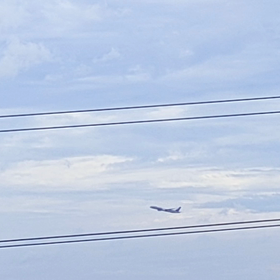 8月14日  無事に帰り着いたようです。の画像
