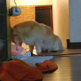 空ですよ❗️の画像