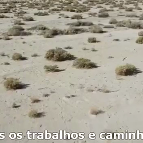 ☦️✝️の画像