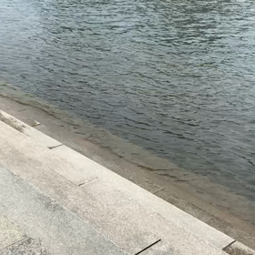 ライアーの音色と共にの画像