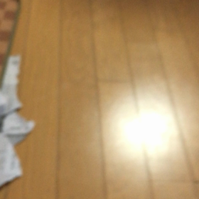 怖い娘、チップの代わり、緑イ貝の効果抜群！の画像