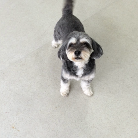 ♪プレイルーム動画♪①の画像