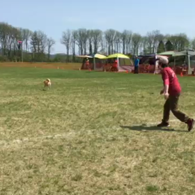 宴の動画の画像