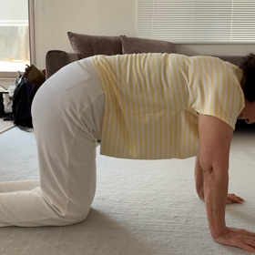 今日のトレーニングの画像