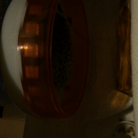 くろまめ、回るの画像