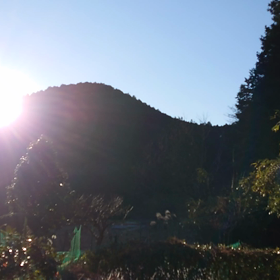 三連休の昨夜にの画像