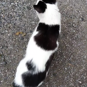 スペースシャワーTVの画像