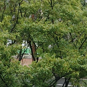 台風の影響の画像