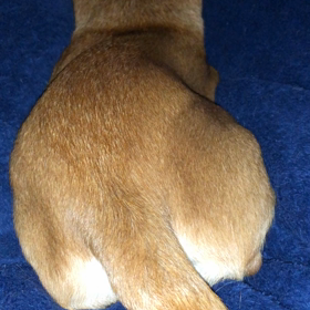 寝てる？寝てない？の画像