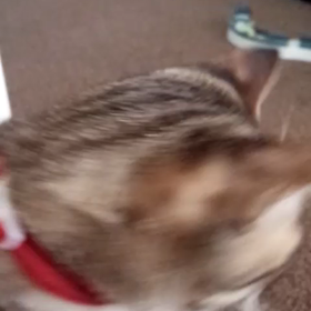 お菓子で遊んでみた♡の画像