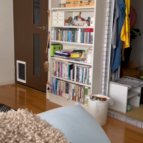 日中から運動会？の画像