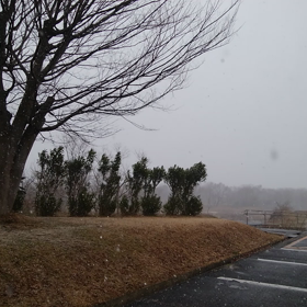 連休最終日（；´д⊂）の画像