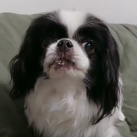 ヨシッ待ち☝️の画像