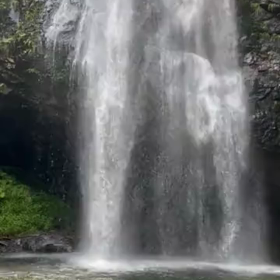 母の様子を見に島根県に帰りました。の画像
