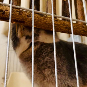 ストレスフリー？の画像