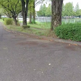 ミニ駅伝（中間点付近）②の画像