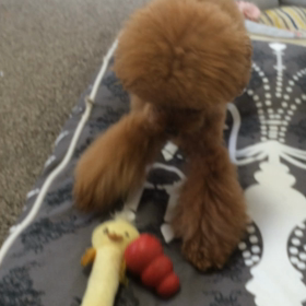 台風ですねの画像