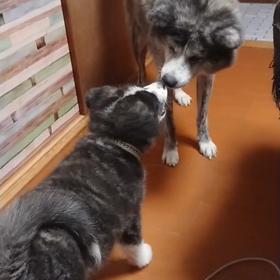 今日は雨だからお部屋の画像