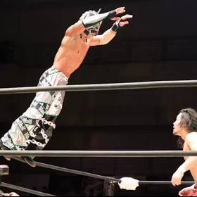 ドラゴンゲートの画像