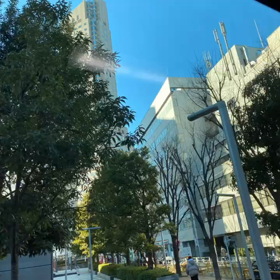 Shima散歩Tokyo ver.8 ハチ公バス恵比寿代官山循 環ルートの画像