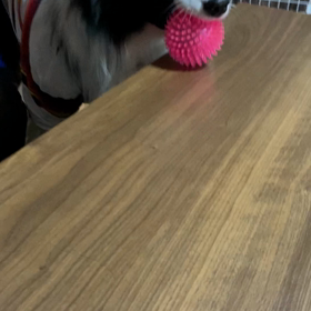 まだまだ修行？の身の画像