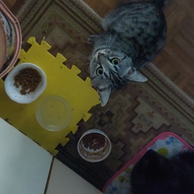 ありません！の画像