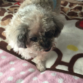 現在は…の画像