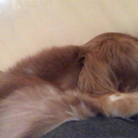 人間不信の画像