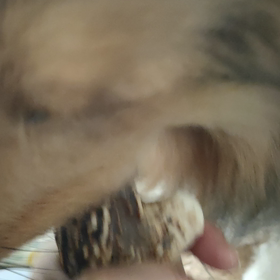 なんでだろうねの画像