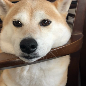 この世で一番嫌いなものの画像