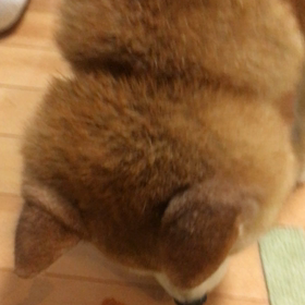 ささみジャーキーの画像