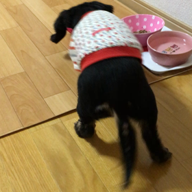 唯一の1人あそび❤︎の画像