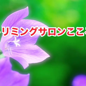 スライドショーの画像