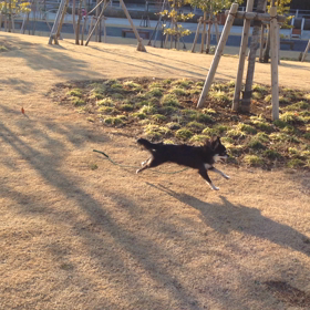 お散歩・・・（≧∇≦）の画像