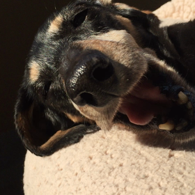 近況報告の画像