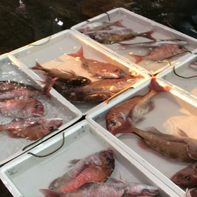 豊浜朝市の様子！の画像