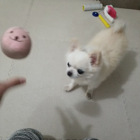 肺水腫から１ヶ月と24日の画像