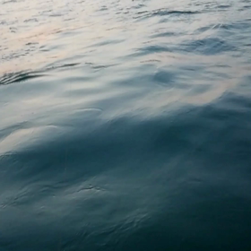 メーター級のぶりの画像