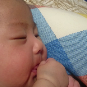 生後５０日の画像