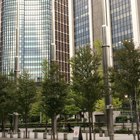 冷たい風   ^ - ^の画像