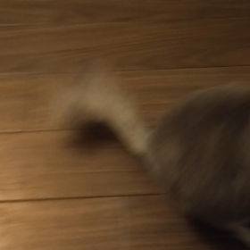 久々…です。の画像