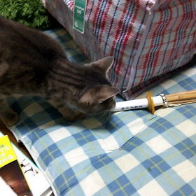 長いから怖い？の画像