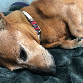 癒し系男子の画像