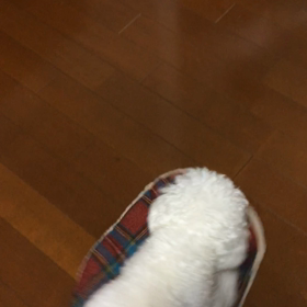 ゆかそうじ？の画像