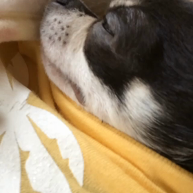 この記事の画像