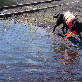 カヌーに乗り込むの画像