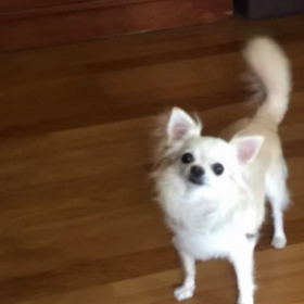 別荘暮らしの様子の画像