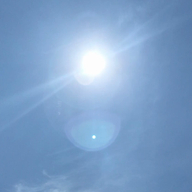 好きなものの画像